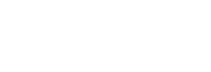 2560px-Payless_Car_Rental_logo-white-1